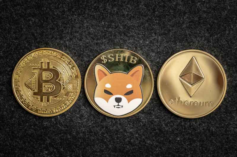 Shiba Inu crypto slumps 72% from its peak as of July 10, 2024 analysis.